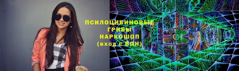 Галлюциногенные грибы мухоморы  Торжок 